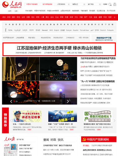 江苏湿地保护：经济生态两手硬 绿水青山长相依